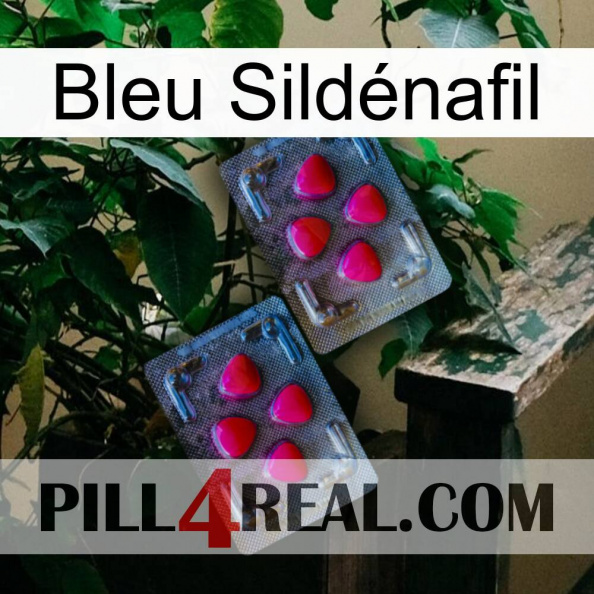 Bleu Sildénafil 14.jpg